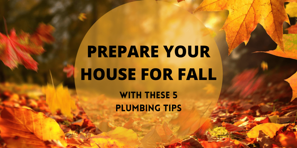 Tips for Fall and Water