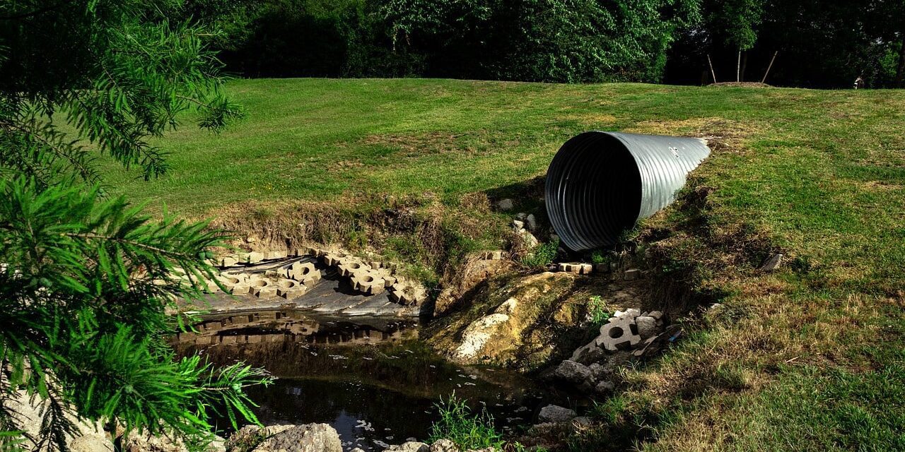 Common Causes of Sewer Backups and How to Fix Them
