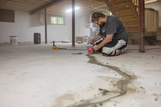Basement Waterproofing in Oakville: How Much Does It Cost?